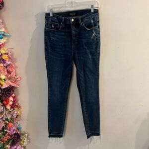 Judy Blue Dark Blue Skinny Jeans